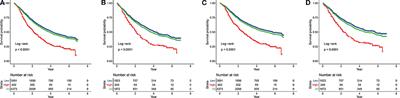 The Positive Lymph Node Ratio Predicts Survival in T1−4N1−3M0 Non-Small Cell Lung Cancer: A Nomogram Using the SEER Database